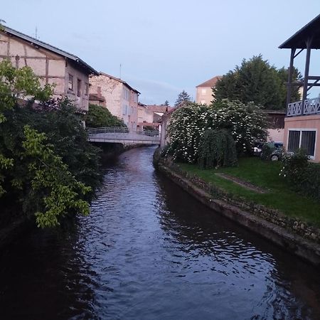 La Maison De Marie, Cosy Et Spacieuse - 3 Chambres Dont Une Climatisee Châtillon-sur-Chalaronne Esterno foto